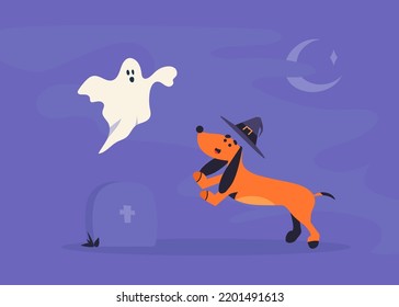 Spooky ghost and cheerful witch dachshund dog at the cemetery. Phantom grave.