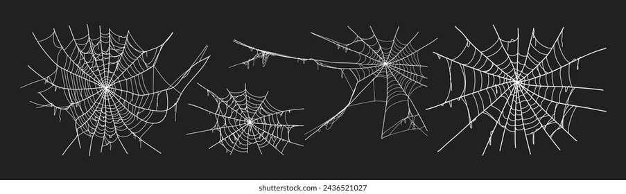 Spooky halloween old spider web with various sizes and shapes. Old cobweb set vector illustration for dark gothic decoration for holidays. Corner spider net insect thread cobweb scary frames.