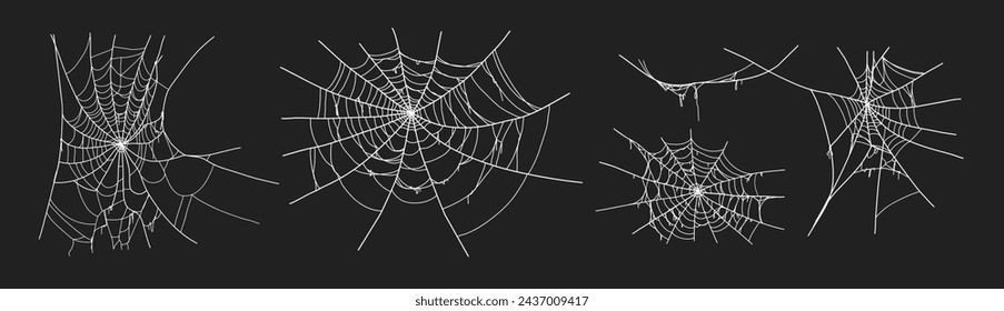 Spooky halloween old spider web with various sizes and shapes. Old cobweb set vector illustration for dark gothic decoration for holidays. Corner spider net insect thread cobweb scary frames.