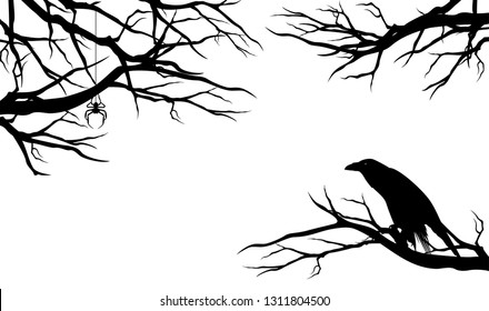 spooky raven bird among bare tree branches with spider - halloween theme black vector silhouette design set