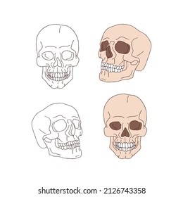 Spooky retro scull pink and contour vector illustration set isolated on white. Line art style skeleton head print collection for Halloween or tee shirt design.