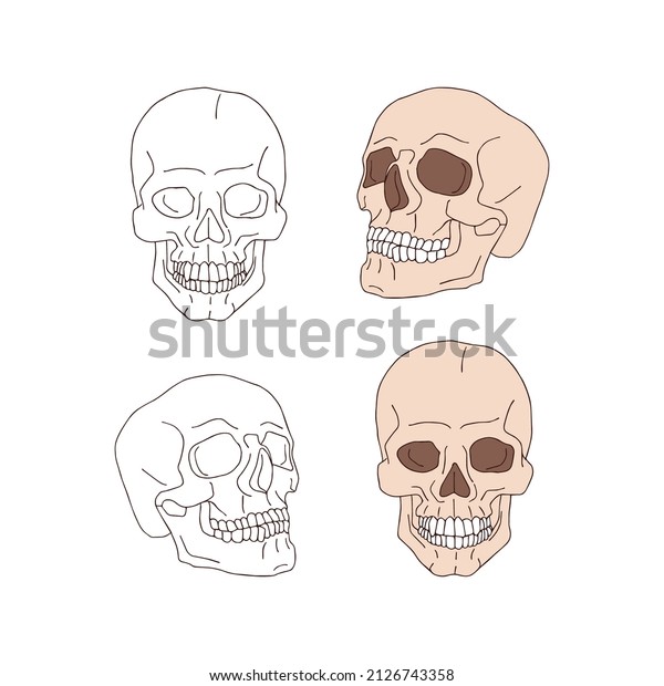 Spooky retro scull pink and contour\
vector illustration set isolated on white. Line art style skeleton\
head print collection for Halloween or tee shirt\
design.
