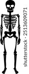 Spooky skeleton. Happy Halloween. Halloween vector illustration