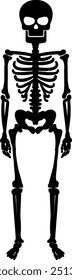 Spooky skeleton. Happy Halloween. Halloween vector illustration