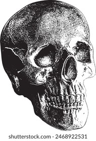 Spooky Skull For Halloween Design