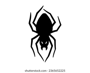 Spooky Spider Halloween Black and White