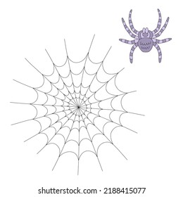 Spooky spider tarantula cobweb vector illustration isolated on white. Hippie groovy Halloween arachnid net insect print for T-shirt design.