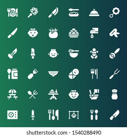 spoon icon set. Collection of 36 filled spoon icons included Knife, Cutlery, Cooking, Eating utensils, Cooker, Salt, Mixed, Baby, Dinner table, Picnic, Fork, Restaurant, Colander