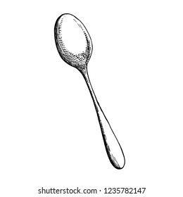 spoon sketch vector cutlery. isolated object.