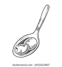 Spoon with two olives. black outline of olives drawn by hand. Olives with shading