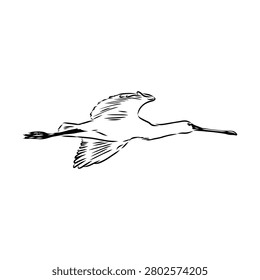Spoonbill wild bird, vector sketch