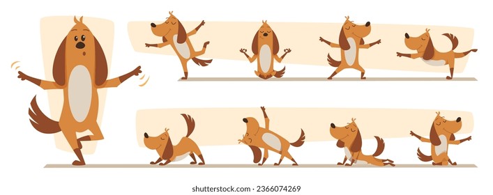 Sport animal. Happy dog in yoga poses exact vector fitness activity