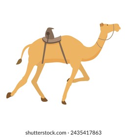 Sport animal running icon cartoon vector. Arabia saudi. Farming tradition in Africa