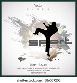 Sport background. karate kick