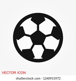 Sport ball icon. Flat vector illustration isolated on background