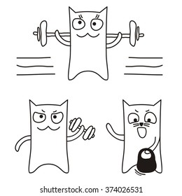 sport cat, weightlifting