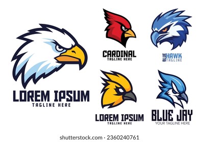 Sport and esport logo collection of bird heads. Blue jay, cardinal and other birds. Logo icon badge emblem set of blue bird, yellow bird, red bird, hawk, falcon, eagle animals logo template.
