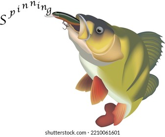 sport fishing spinning with sea bass-