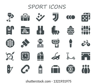 sport icon set. 30 filled sport icons.  Collection Of - Paddles, Sport bag, Success, Juventus, Balls, Dice, Swimming pool, Worm, Lifejacket, Roller skate, Powder, Ski, Hockey