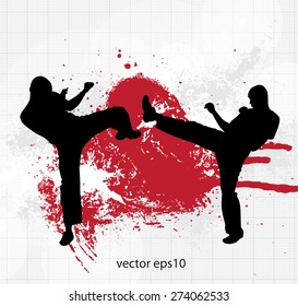 Sport. Karate illustartion, vector