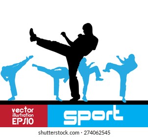 Sport. Karate illustartion, vector