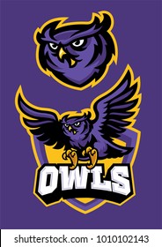 sport mascot style of owl in set