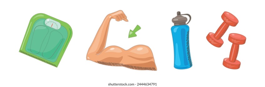 Sport Object and Equipment as Gym Accessories Vector Set