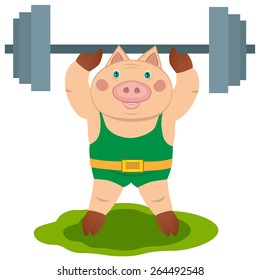 Sport. Pig raises the bar. isolated background