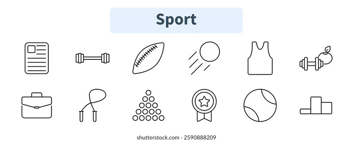 Sport set icon. Document, dumbbell, football, ball, jersey, fitness, briefcase, jump rope, billiard, medal, tennis, podium.