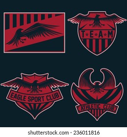 sport team crests set with eagles vector design template