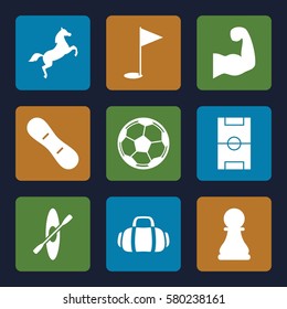 Sport vector icons. Set of 9 Sport filled icons such as football pitch, gold flag, sport bag, muscular arm, snow board, horse, chess pawn, rowing