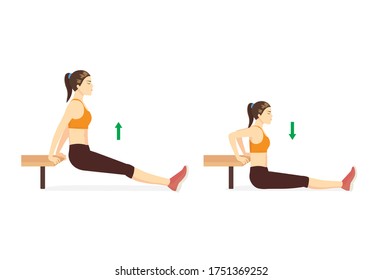 Sport woman doing hip fitness with Bench dip with legs straight in 2 steps. Exercise diagram about a very challenging workout with a chair. 