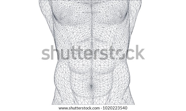 散発的な男性の胴体 健康な体 ベクターイラスト のベクター画像素材 ロイヤリティフリー