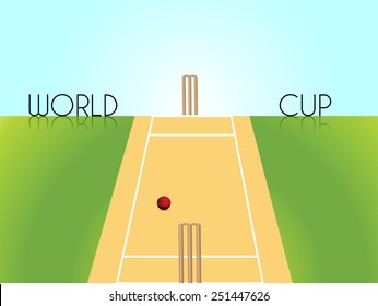 Sports of cricket concept with 2015 Cricket Championship.