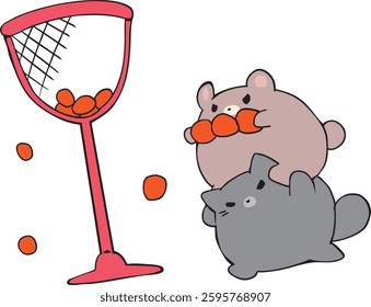 Sports day, ball toss, cat, bear.