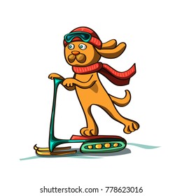 Sports dog on the snow scooter in colors vector