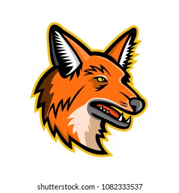 Sports mascot icon illustration of head of a maned wolf, the largest canid of South America viewed from  on isolated background in retro style.