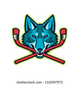 Sports mascot icon illustration of head of a coyote or gray wolf biting a crossed hockey stick viewed from front on isolated background in retro style.