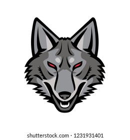 Sports mascot icon illustration of head of a gray coyote, a canine native to North America closely related to the gray wolf viewed from front  on isolated background in retro style.