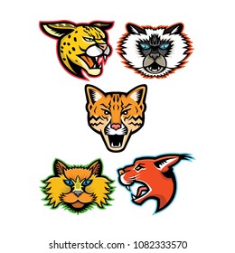 Sports mascot icon set of heads of wild and domestic cats like the serval, Himalayan cat, ocelot, Selkirk Rex cat and the caracal cat  viewed from side  on isolated background in retro style.