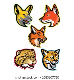 Sports mascot icon set of heads of wild dogs and cats like the African wild dog or painted hunting dog, dhole or Asiatic wild dog, maned wolf, manul or Pallas cat and margay wild cat in retro style.