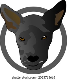 Sports mascot vector. The dog's head symbolizes intelligence and ability