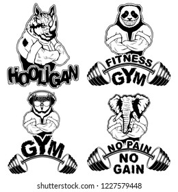 Sports T-shirt Print Set. Vector illustration.