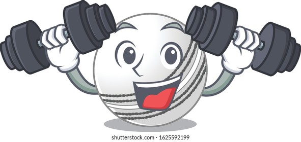 Sporty Fitness exercise cricket ball using barbells