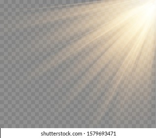 Spotlight isolated on transparent background. Vector sunlight with gold rays and beams. Vector warm light effect