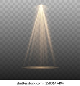 Spotlight isolated on transparent background. Vector glowing light effect with gold rays and beams