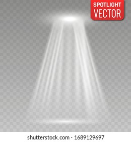 Spotlight isolated on transparent background. Vector scene illuminated with spotlight. Show stage spotlight black background vector. 