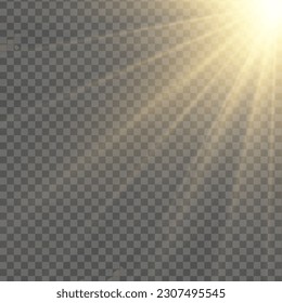 Spotlight isolated on transparent background. Vector sunlight with gold rays and beams. Vector warm light effect