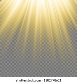 Spotlight. Rays of light isolated on transparent background.  Sun flash. Vector illustration