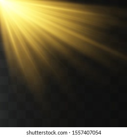 Spotlight transparent background. Golden light shines in a special way. Vector light effects sparkle on a transparent background. The bright sun reflects. 